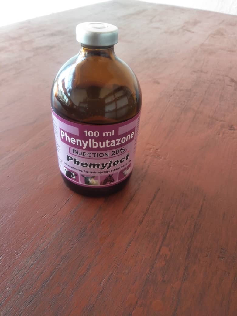 Phenylbutazone 100ml Phemyject