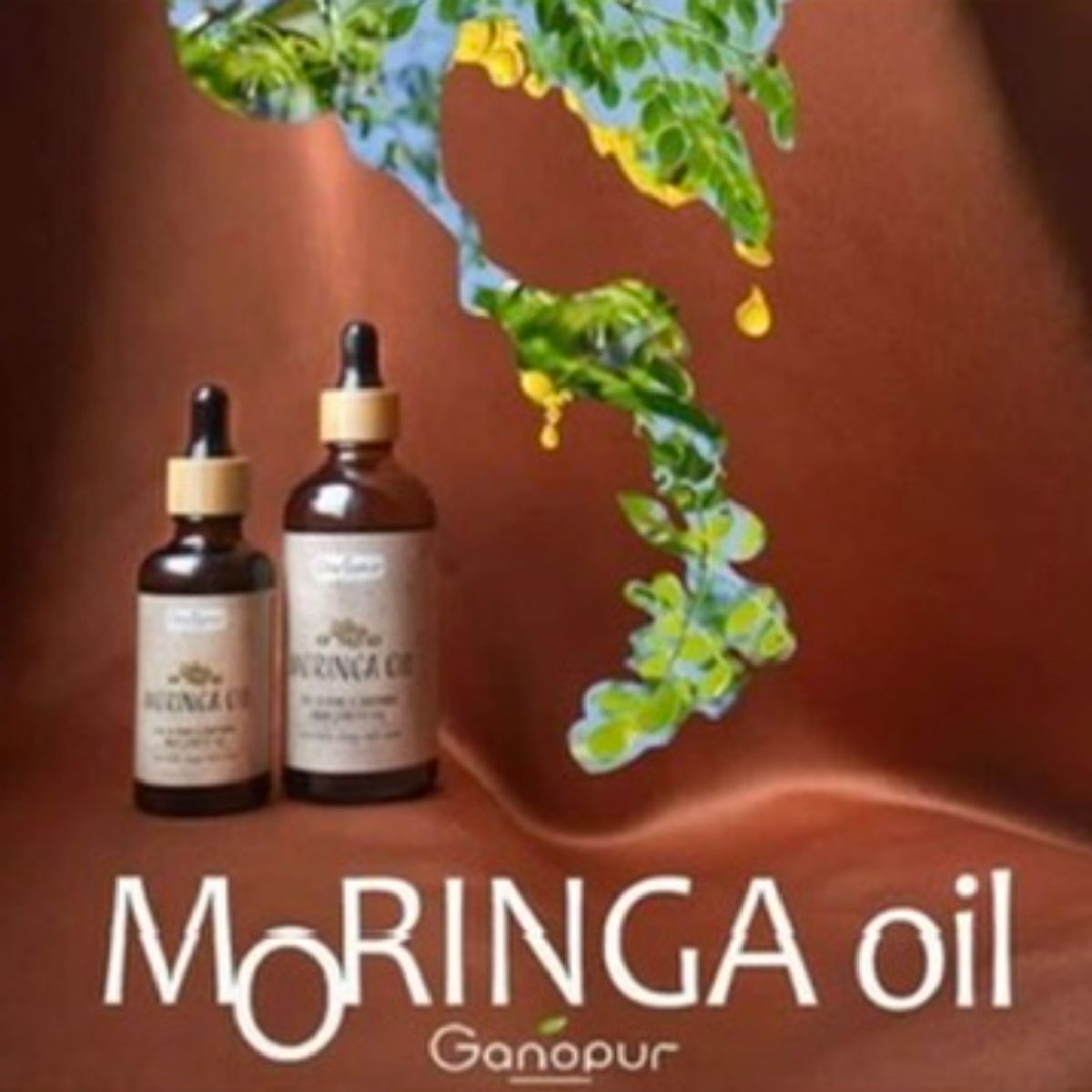 moringa oil