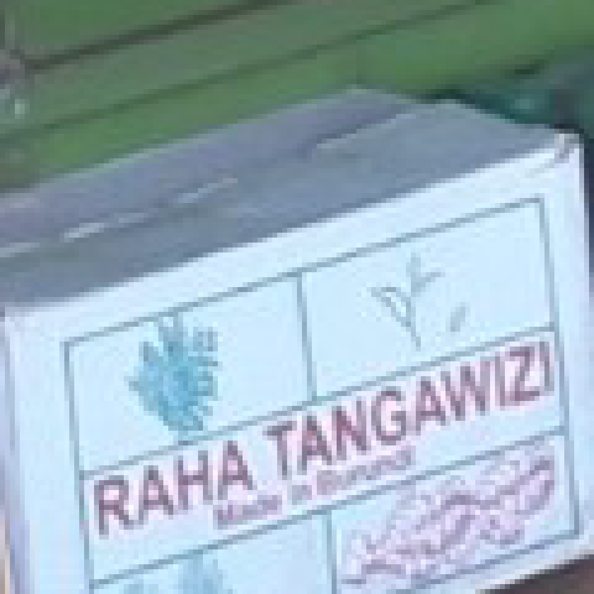 Raha Tangawizi